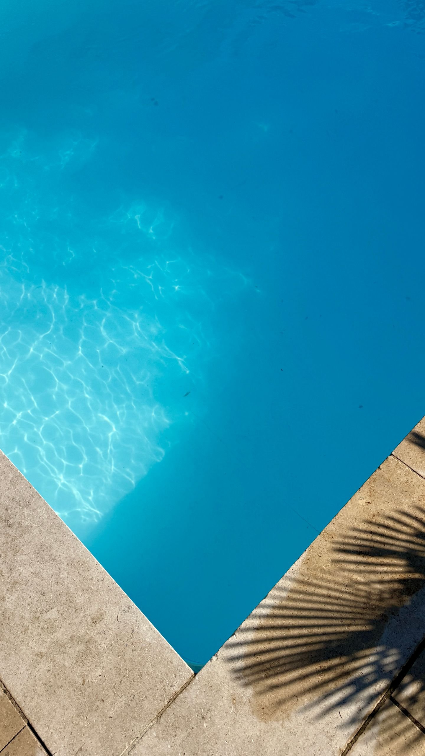 Minimalist view of a swimming pool with clear water and palm leaf shadows on tiles.